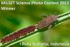 MILSET Science Photo Contest Awards 2012